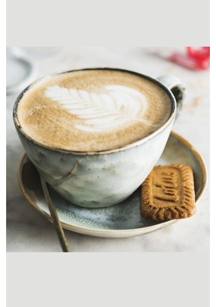 Biscoff 250 G x 6
