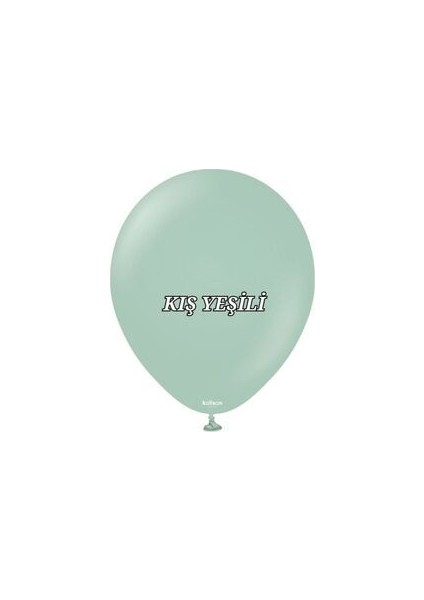 Retro Balon Zinciri Konsept Retro Toz Pembe Makaron Pembe Retro Kış Yeşili Balon Seti modelleri