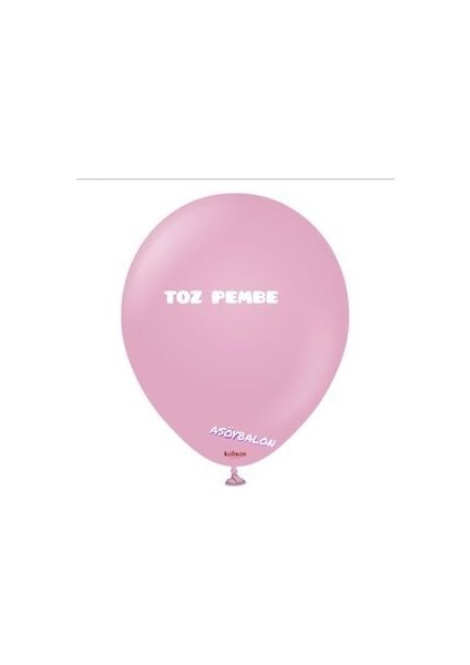 Retro Balon Zinciri Konsept Retro Toz Pembe Makaron Pembe Retro Kış Yeşili Balon Seti fırsatları