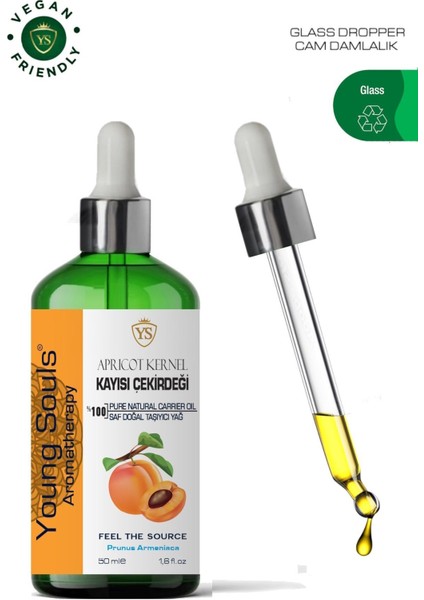 Aromatherapy Apricot Seed Carrier Oil Kayısı Çekirdeği Bitkisel Taşıyıcı Yağ 50 ml