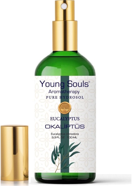 Aromatherapy Eucalyptus Pure Hydrosol Tonic Okaliptüs Hidrosol 100 ml