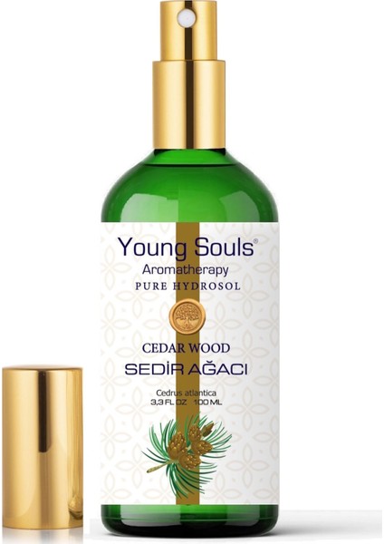Aromatherapy Cedar Wood Pure Hydrosol Tonic Sedir Ağacı Hidrosol 100 ml