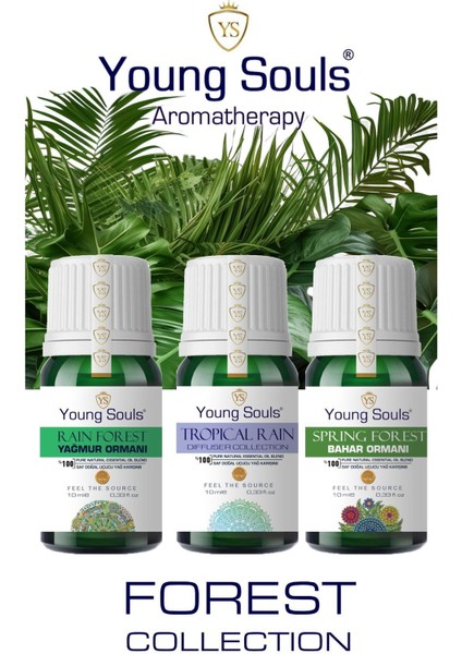Aromatherapy Orman Forest Collection Spring Forest / Tropical Rain / Rain Forest Yağ Seti 30ml