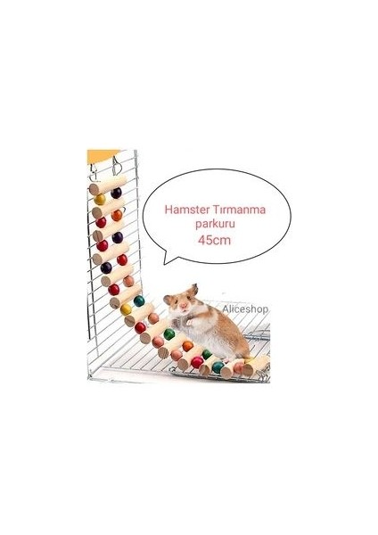 Hamster Tırmanma Parkuru