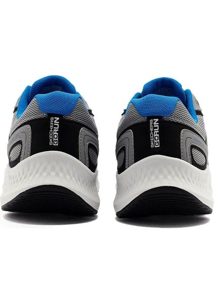 Go Run Consistent 2.0 Erkek Günlük Ayakkabı 220866-GYBK Gri fiyatları