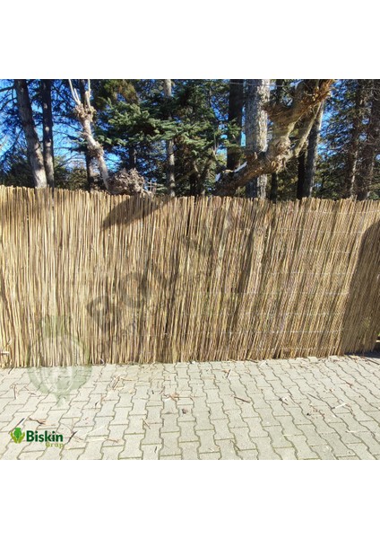 1.5m x 5m Reedfence Misina Ipli Doğal Bambu Kamış Çit, Bahçe Çiti, Hasır Çit, Gölgelik