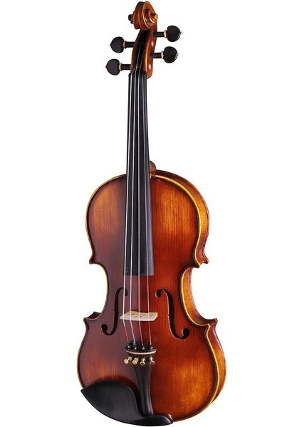 Vla8 - 4/4 Keman Set