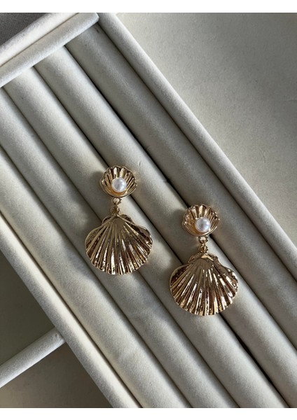 Deniz Kabuğu Gold Küpe fiyatları