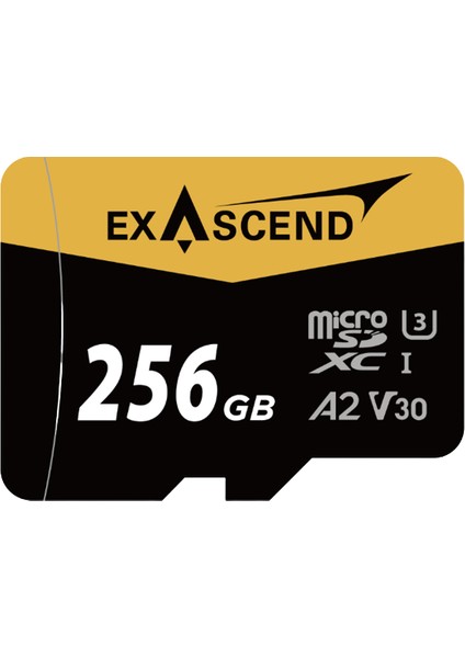 Catalyst Microsd Card Series 256GB (Sd Adapter Ile)