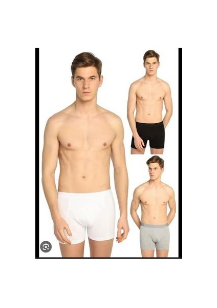 Erkek Boxer 3lü
