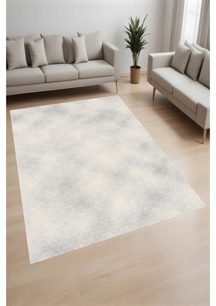 Dijital Baskı Yıkanabilir Kaymaz Taban Salon Halısı ve Yolluk LN085-FNL372