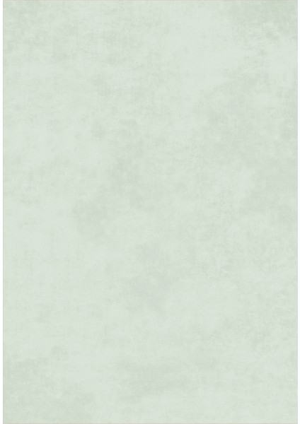 Dijital Baskı Yıkanabilir Kaymaz Taban Salon Halısı ve Yolluk LN104-FNL410