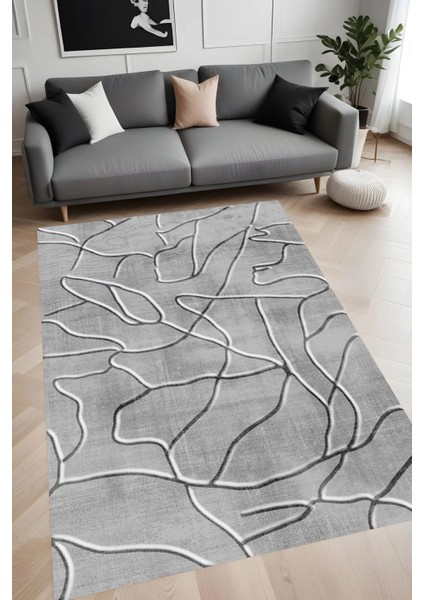 Dijital Baskı Yıkanabilir Kaymaz Taban Salon Halısı ve Yolluk RV081-FNL365