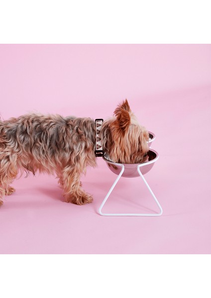 Air Paslanmaz Çelik Ergonomik Antibakteriyel Küçük Orta Büyük Irk Köpek Mama ve Su Kabı modelleri