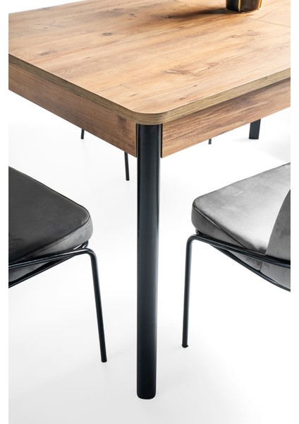 Safir Polo Salon Yemek Masa Sandalye Takımı 90X145