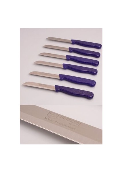 Meyve ve Sebze Bıçağı Tırtıklı 6 Adet