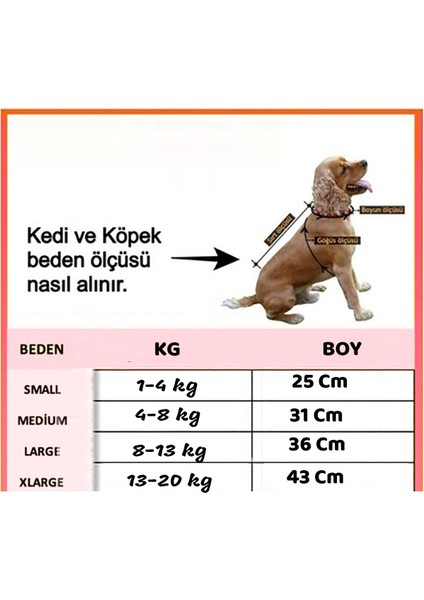 Amigo Kiz Kirmizi Onden Giydirmeli Köpek Kıyafeti Kostümü