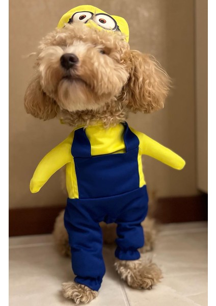 Minion Onden Giydirmeli Köpek Kıyafeti Kostümü