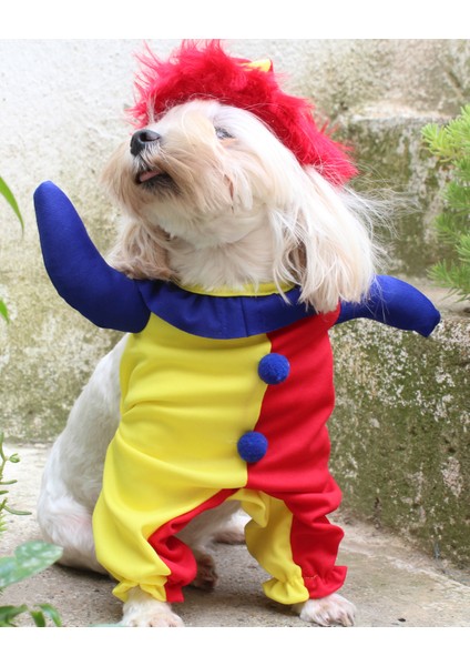 Soytari Onden Giydirmeli Köpek Kıyafeti Kostümü modelleri