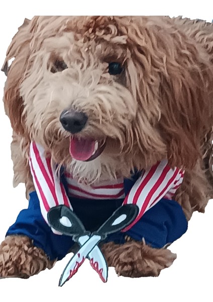 Makasli Katil Bebek Onden Giydirmeli Köpek Kıyafeti Kostümü modelleri