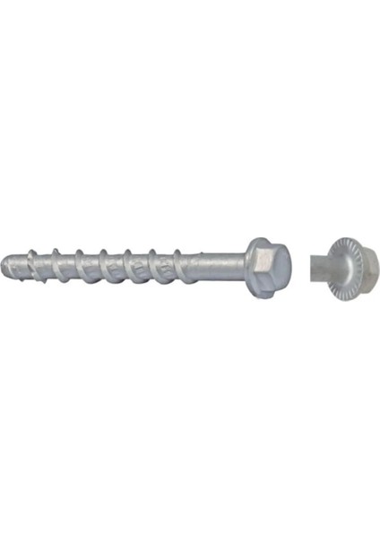 Fbs Iı 10X90 Beton Vidası (50'li)