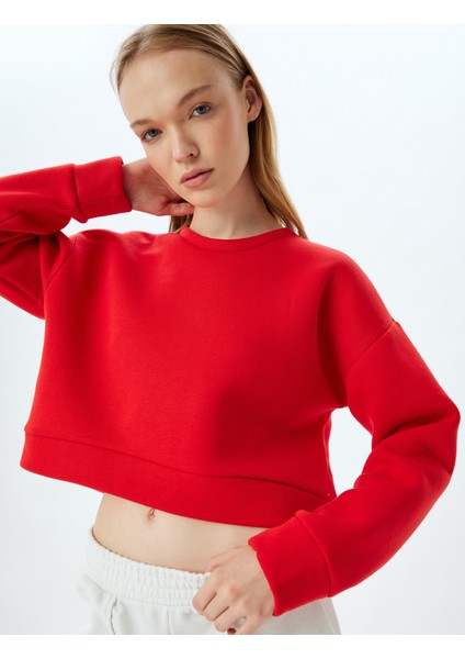 Crop Spor Oversize Sweatshirt Basic Bisiklet Yaka Şardonlu