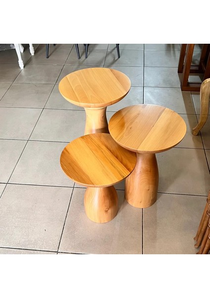 Ahşap 3’Lü Set Fitilli Mantar Yan Sehpa Modern Fiskos / Çiçeklik / Zigon Sehpa