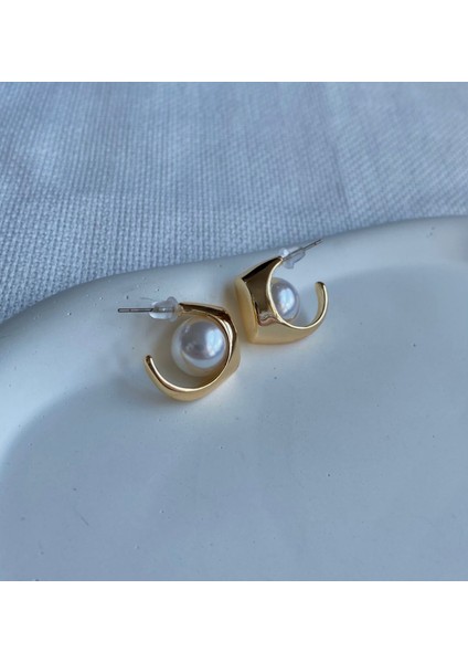 Kadın Küpe Saklı Inci Küpe fiyatları