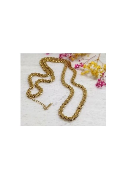 Birebir Kuyumcu Model Paslanmaz Çelik Pullu Arpa Zincir Uzun Kolye Çelik Pullu Halep Zinciri 60 cm fırsatları