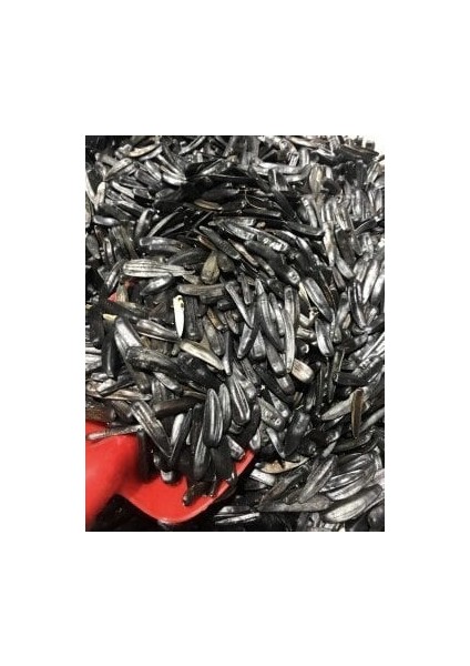 Kars Siyah Çekirdek (Sımışka) 1000 G