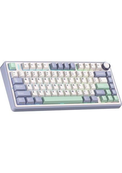 F75 Mekanik Rgb Tkl Gray Switch Kablosuz Makrolu Hot Swap Klavye Pastel