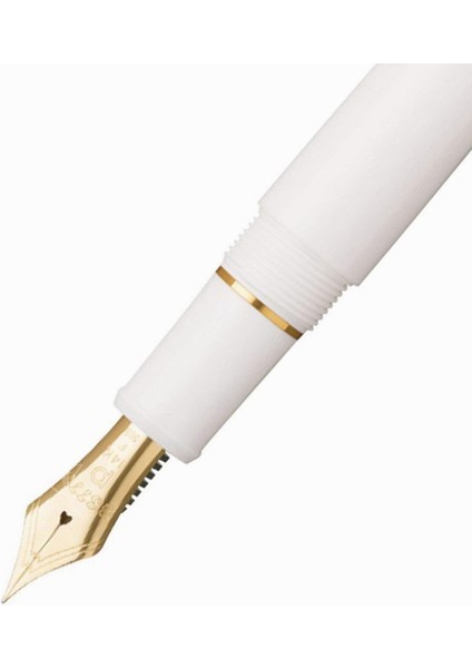 #3776 Century Dolma Kalem Pnb 13000 Gold Trim 2 Chenonceau White Sf Soft Fine fiyatları