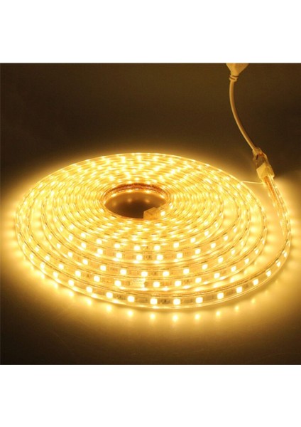 Hortum Esnek Şerit Led 20 Metre Gün Işığı + 220 Volt Fiş
