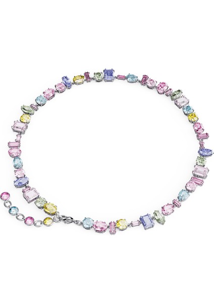 SWR5656397 Kadın Kolye fiyatları