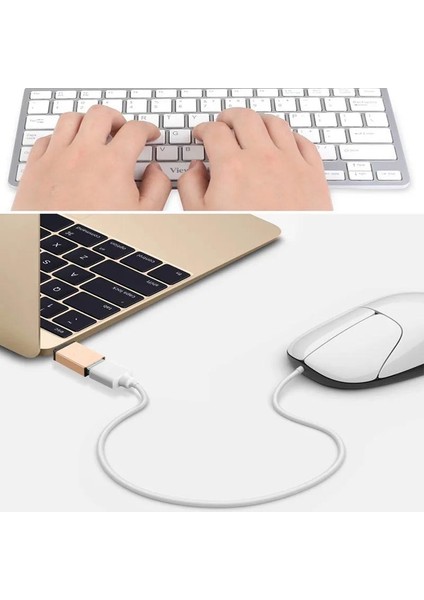 MT49 USB 3.0 To Type-C Otg Dönüştürücü Adaptör iPhone ile Uyumlu 15 Android Macbook ile Uyumlu