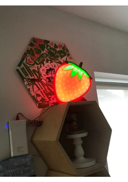 Gece Lambası fiyatları