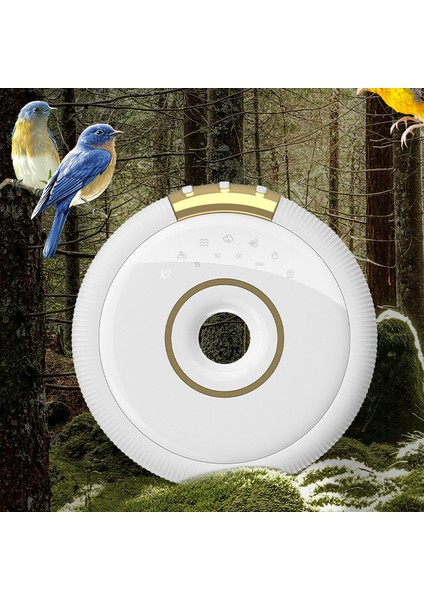 QD01 7 Rahatlatıcı Doğal Sesli Ses Makinesi (Yurt Dışından)