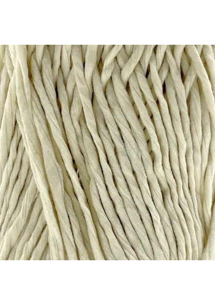 Premium Softee Raffia Yumuşak Kağıt Ip Rafya Ipi Tığ Ipi Çanta Ipi El Örgü Ipi Hobi Ipi