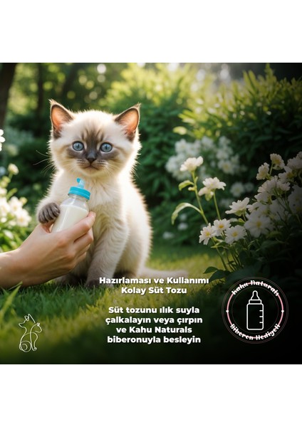 Kitten Care Milk Replacer, Anne Sütü Destekli Yavru ve Hamile Kedi Süt Tozu, 200 gr