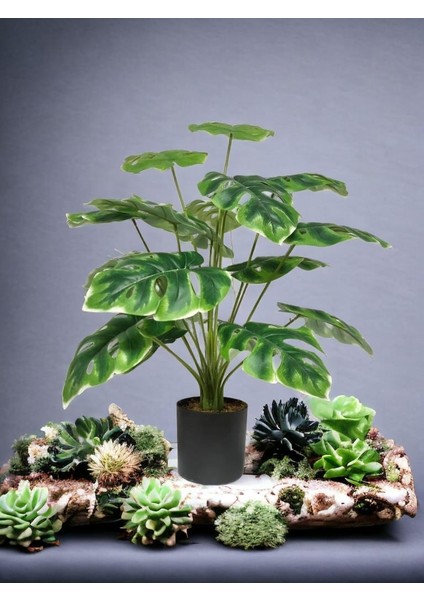 Yapay Monstera Ağacı 60 cm fırsatları