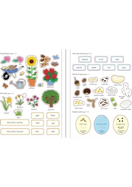 My First Book About How Things Grow - Felicity Brooks