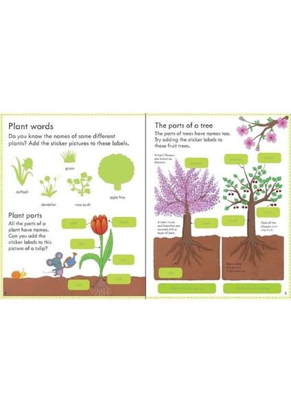 My First Book About How Things Grow - Felicity Brooks