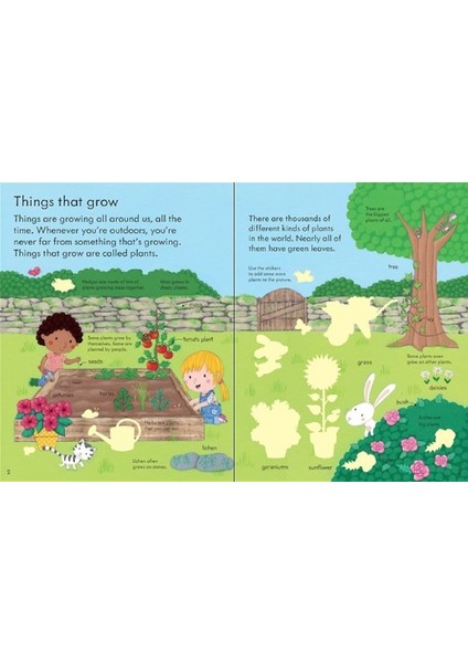 My First Book About How Things Grow - Felicity Brooks