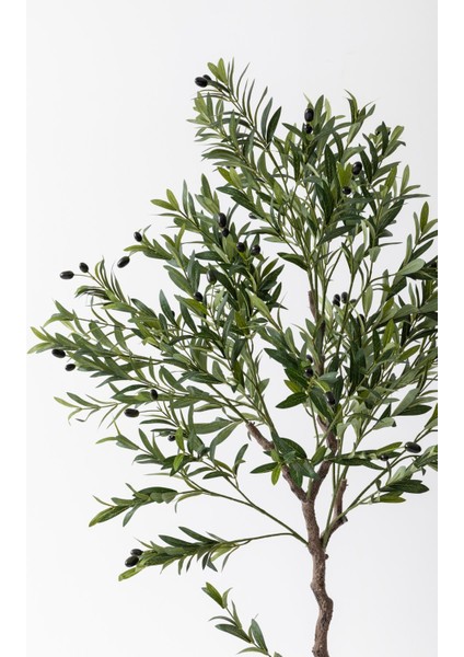 Yapay Zeytin Ağacı 175 cm Tek Gövdeli Doğal Gerçek Görünümlü Yapay Ağaç