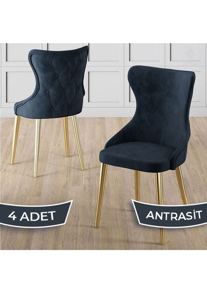 Alpa Serisi 4 Adet Mutfak Sandalyesi Gold Kaplama Metal Ayak Babyface Kumaş