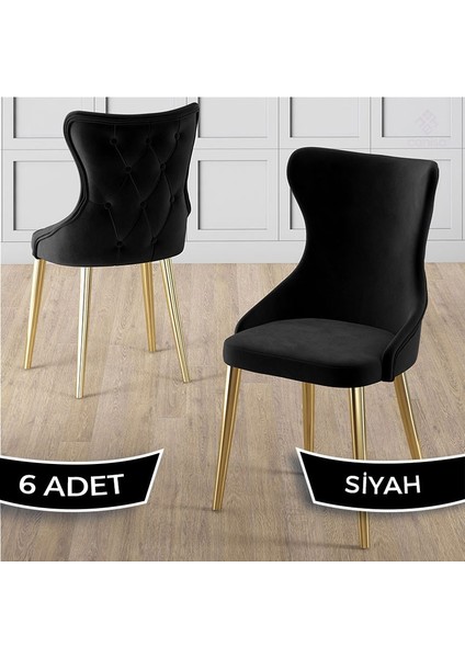 Alpa Serisi 6 Adet Mutfak Sandalyesi Gold Kaplama Metal Ayak Babyface Kumaş