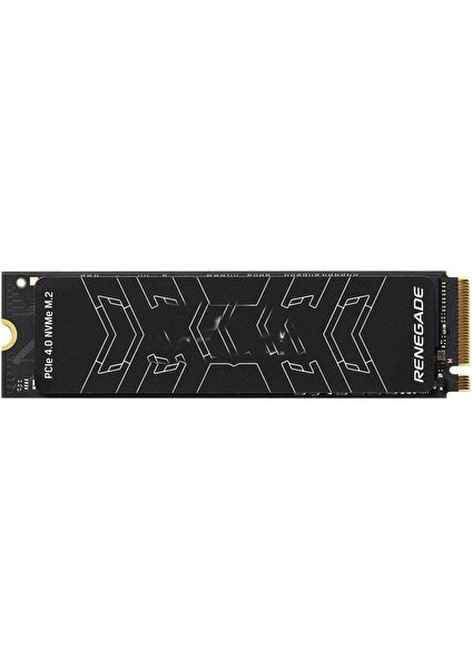 1tb Renegade SRNGS/1000G Nvme M.2 Okuma Hızı 7300MB / Yazma Hızı 6000MB SSD