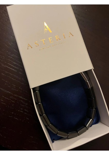 Asteria Jewelry Modern Metalik Görünümlü Çelik Erkek Bileklik