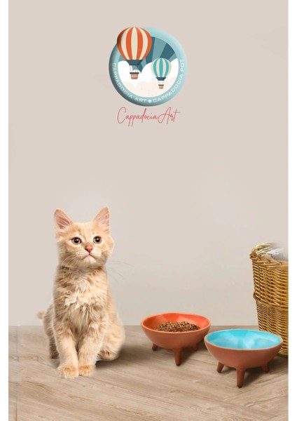 2'li Ayaklı Kedi Köpek Çömlek Mama ve Su Kabı (Içi Sırlı, Organik) fiyatları