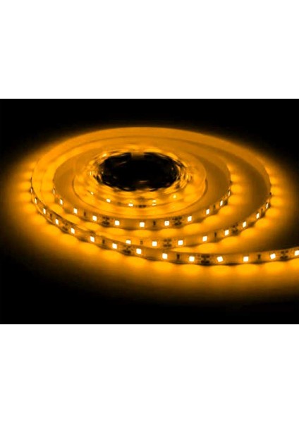 AS01-00308 Çip 60 LED Amber Silikonsuz Şerit Led